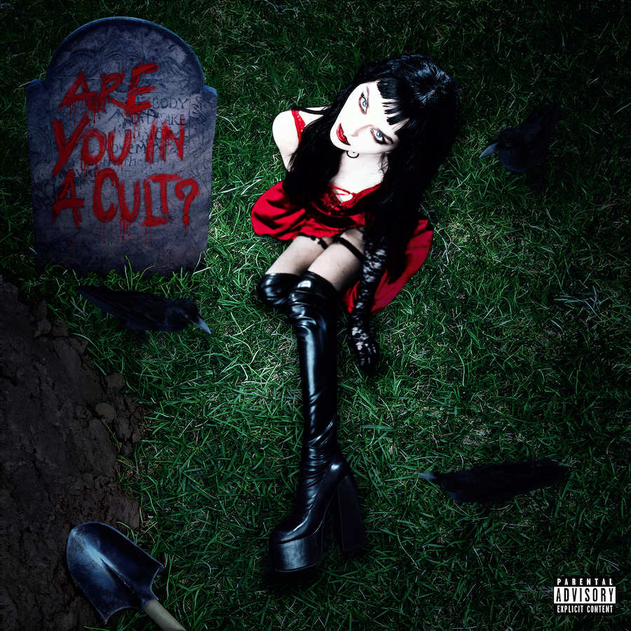 'Are You In A Cult?' MEGA Bundle